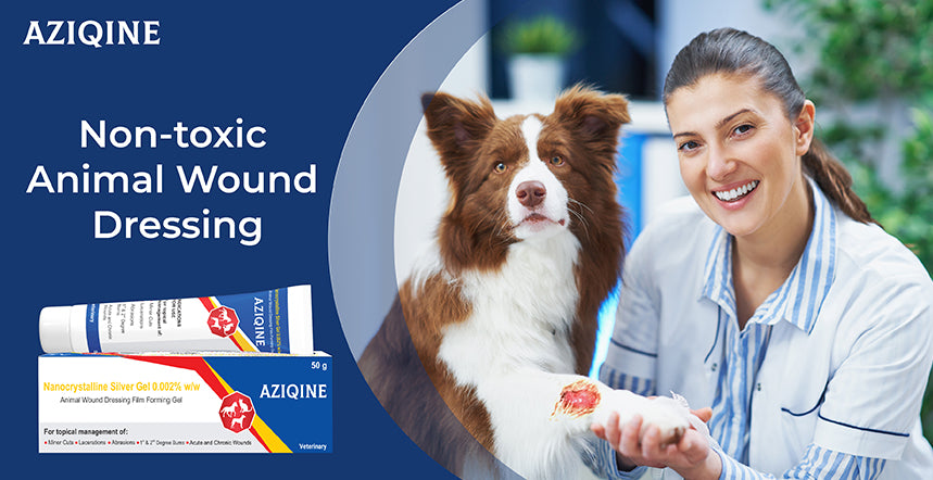 Aziqine Animal Wound and Dressing Film Forming Gel - Azistastore