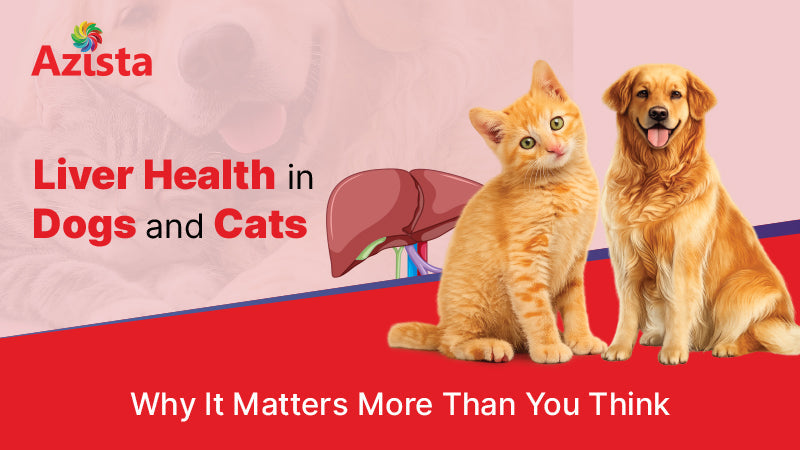 Liver Health in Dogs and Cats: Why It Matters More Than You Think