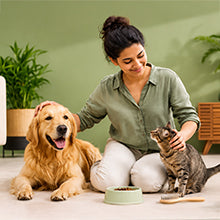Pet Care Products