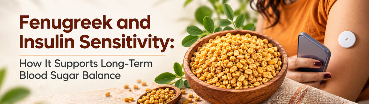 Fenugreek and Insulin Sensitivity: How It Supports Long-Term Blood Sugar Balance