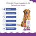 LIVERNOVA liver tonic for cats and dogs, a premium supplement for liver support and digestion