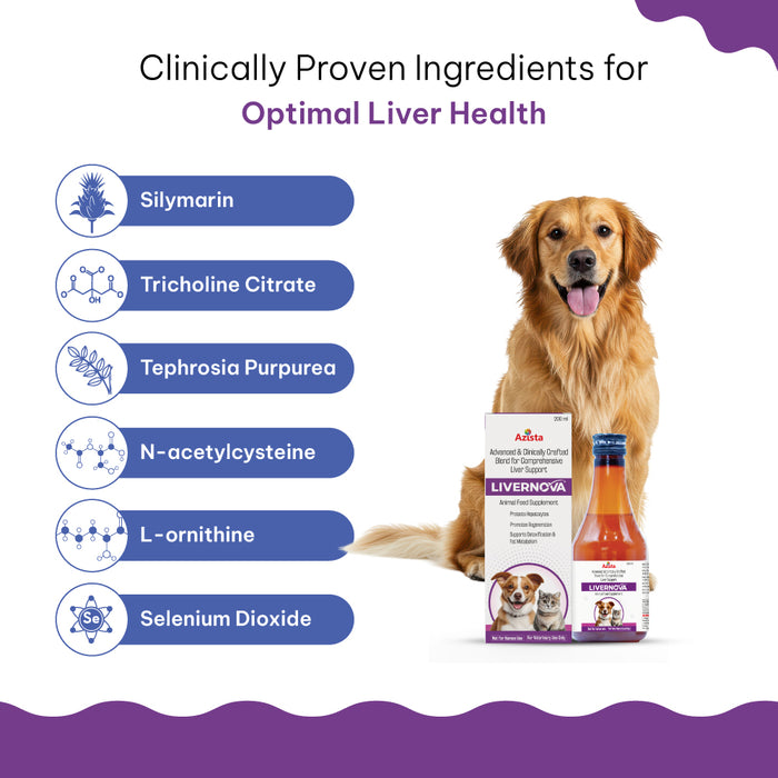 LIVERNOVA Advanced Liver Tonic Syrup – Veterinary Liver Support for Dogs & Cats