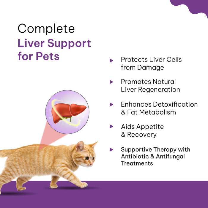 LIVERNOVA veterinary liver tonic with rich, natural formulation designed for optimal liver care
