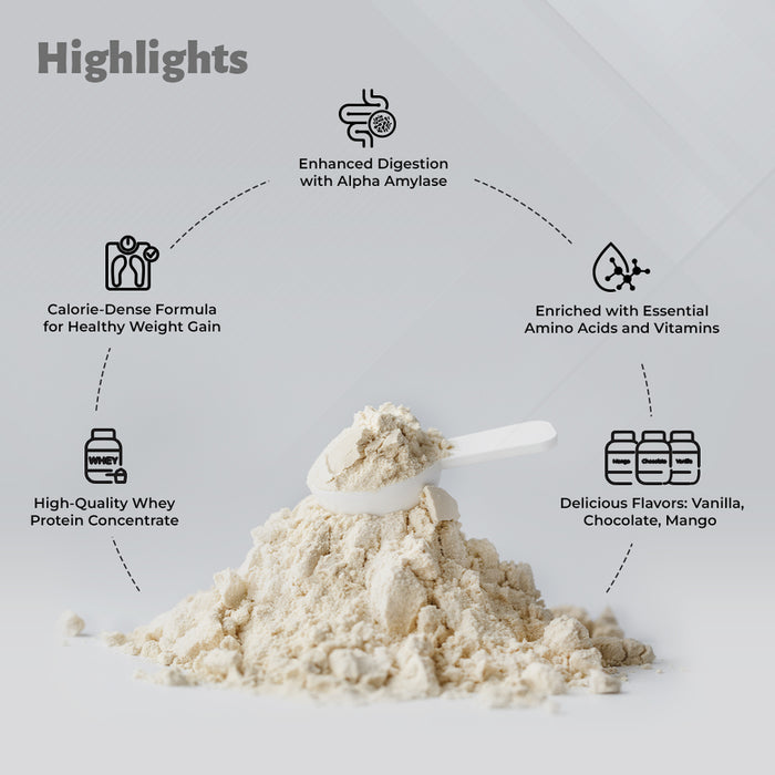 MegaFit Mass Gainer - High-Quality Protein Supplement with Essential Amino Acids & Vitamins 1 KG