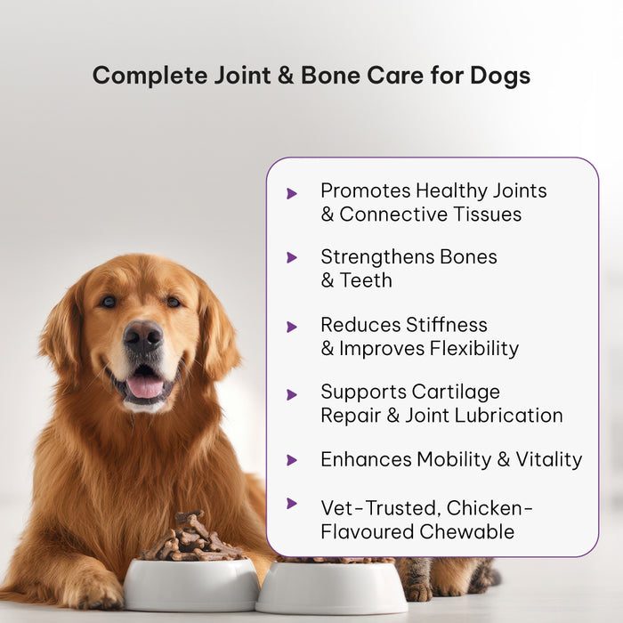 SHELLTREK Natural Egg Shell Membrane Chewable Tablets 500mg for Dogs and Cats