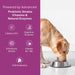 GUTMAX 360 Natural Digestive Medicine for Dogs & Cats – 20 Pre+Probiotic (1gm) Sachets - Azistastore
