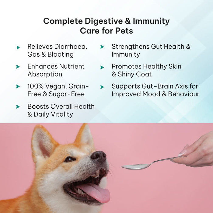 GUTMAX 360 Natural Digestive Medicine for Dogs & Cats – 20 Pre+Probiotic (1gm) Sachets - Azistastore