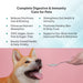 GUTMAX 360 Natural Digestive Medicine for Dogs & Cats – 20 Pre+Probiotic (1gm) Sachets - Azistastore
