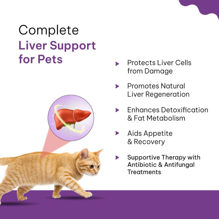 LIVERNOVA Advanced Liver Tonic Syrup – Veterinary Liver Support for Dogs & Cats - Azistastore