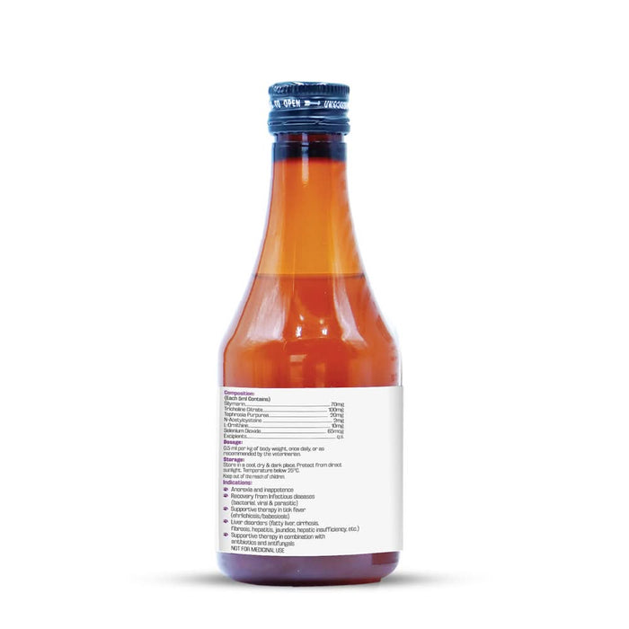 LIVERNOVA Advanced Liver Tonic Syrup – Veterinary Liver Support for Dogs & Cats - Azistastore