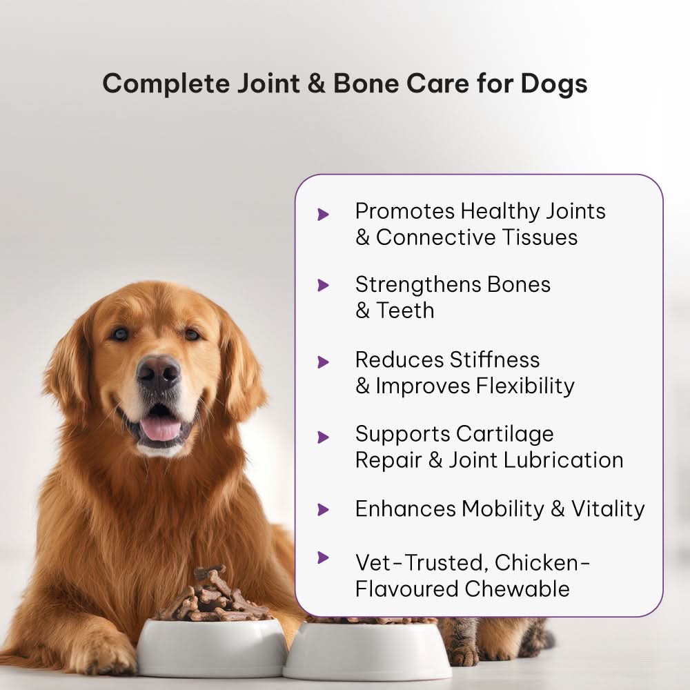 Best Joint Supplement for Dogs and Cats | SHELLTREK Glucosamine Tablets Best Joint Supplement for Dogs and Cats | SHELLTREK Glucosamine Tablets
