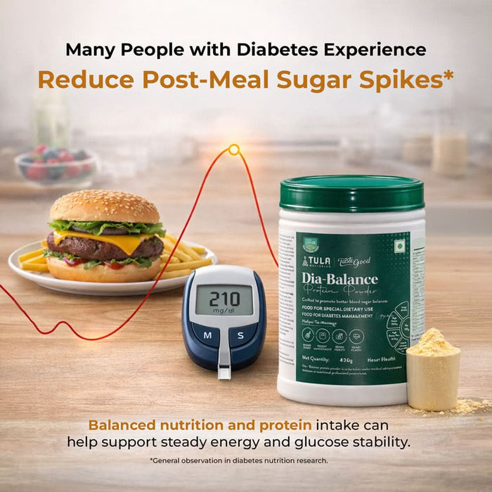 Diabetic Powder Diabetic Protein Powder for Blood Sugar Support - Dia-Balance